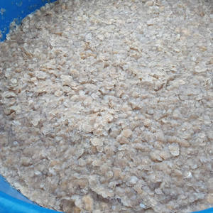 เกล็ดปลาแห้งแบบธรรมชาติสำหรับคอลลาเจนจากเวียดนามเกล็ด100% - Product Image 6