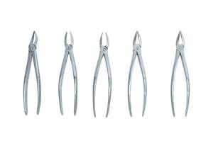 Pinzas de extracción Dental, instrumentos quirúrgicos, calidad prémium, de acero inoxidable, con logotipo personalizado - Product Image 5