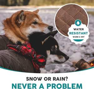 Ropa Personalizada para Mascotas con Diseño de Araña, Sudaderas para Perros, Invierno, Algodón Clásico, Estilo Sostenible - Product Image 3