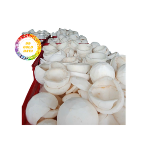 Iqf มะพร้าวขูดแช่แข็งสำหรับใช้ในอุตสาหกรรม - Product Image 4