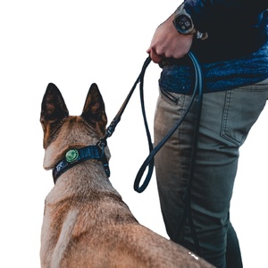 The Everyday Leather <b>Leash</b> - Product Image 1
