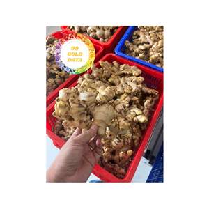 RACINE DE GINGEMBRE FRAIS DE HAUTE QUALITÉ BIOLOGIQUE DU VIETNAM APPROVISIONNEMENT EN VRAC D'EXPORTATION ARÔME NATUREL D'ÉPICES POUR LE THÉ ET LES ALIMENTS - Product Image 6