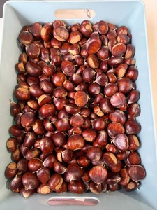 ถั่วแมคคาเดเมียคั่วแบบอินทรีย์เมล็ดหลวมเกรดพรีเมี่ยม - Product Image 6