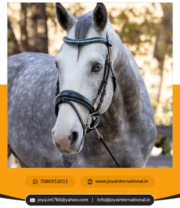 Intelligent New Arrived The Jewel Rock Crystal Snaffle Bridle Horse Products Supplier Exportation de fournisseurs en Inde - Product Image 4