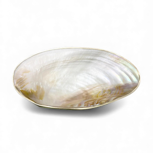 จานเปลือกหอยมุกธรรมชาติสำหรับตกแต่ง ใช้เสิร์ฟของหวาน และโชว์เครื่องประดับ ผลิตในเวียดนาม - Product Image 4