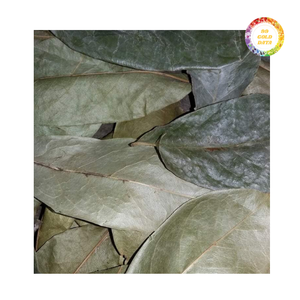 Feuilles de Graviola séchées en vrac - Feuilles de corossol abordables et de haute qualité - Product Image 2