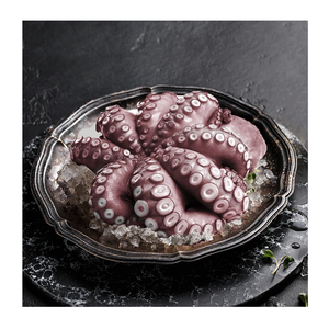 Pulpo Gigante Entero (Congelado) de la Mejor Calidad a Precio de Oferta - Product Image 5