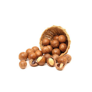 500g Riche Nutrition Délicieux Prix De Gros De Noix De Macadamia À Vendre Noix De Macadamia - Product Image 5