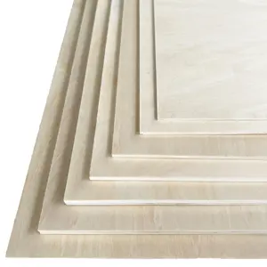 Plaque acrylique de qualité supérieure à prix de gros, 1000x100mm, pour usage en construction, épaisseur 3mm/5mm, couleur personnalisée, découpe sur mesure - Product Image 1