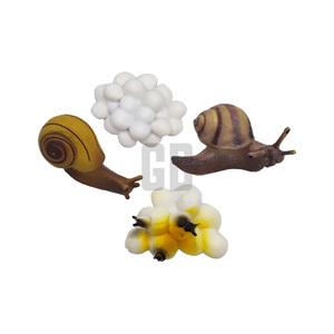 วงจรการเจริญเติบโตของหอยทาก B มองชีวิตในสวนอย่างใกล้ชิด - Product Image 1