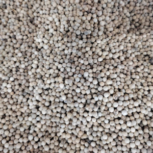 Poivre blanc indien naturel de qualité export, emballé sous vide en sacs de 25 kg pour l'industrie alimentaire, vente en gros, durée de conservation de 24 mois - Product Image 2