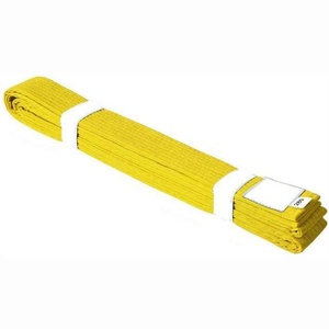 Cinturón de Taekwondo Woosung al por mayor cinturón de artes marciales de campeonato personalizado cinturón de entrenamiento de Jiu Jitsu Karate - Product Image 4