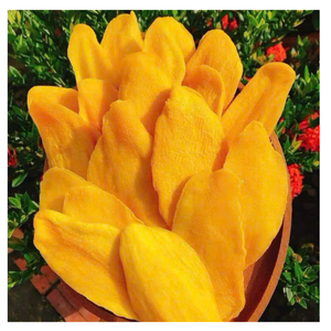 ขนมเคี้ยวหนึบเขตร้อนหวานมะม่วงอบแห้งแบบพรีเมียมของเวียดนามขนมผลไม้ที่มีคุณค่าทางโภชนาการ - Product Image 3