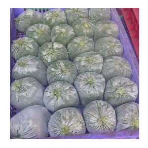 Hojas de yuca picadas congeladas de primera calidad, hojas de yuca picadas congeladas de Vietnam para uso culinario, disponibles a granel para exportación en todo el mundo - Product Image 1