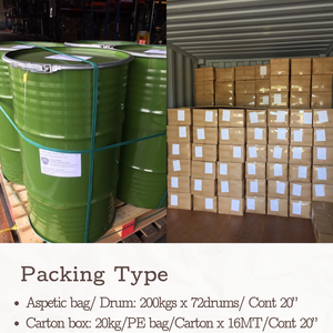 Purée d'ananas congelée IQF de qualité supérieure pour l'usine de jus et de boissons | Exportation du Vietnam - Product Image 3