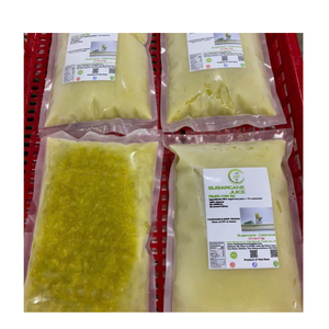 Palitos de Caña de Azúcar Congelados de Alta Calidad de Vietnam, Dulzura Natural, Perfectos para Fábricas de Jugos y Fabricantes de Bebidas Premium - Product Image 2