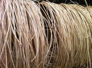 Bande de canne naturelle en écorce de rotin pour emballage de poignée de sac et artisanat décoratif faisant l'approvisionnement écologique du Vietnam - Product Image 2