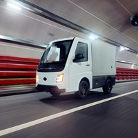Mini-fourgon électrique EEC COC, véhicules à énergie nouvelle, mini-voiture électrique, camion électrique pour adultes, véhicule de livraison de nourriture électrique, voiture électrique de mobilité