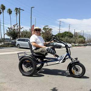 รถสามล้อไฟฟ้ารุ่นใหม่ล่าสุด ZYCLE Z500 สำหรับผู้ใหญ่, มอเตอร์ไฟฟ้าด้านหลัง 750W, แบตเตอรี่ 48V*15Ah ระยะทาง 40 ไมล์ - Product Image 2