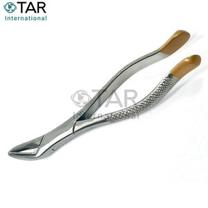 Fórceps de extracción dental #151, fórceps de extracción universales de acero inoxidable Premium, instrumentos médicos inferiores premolares - Product Image 4