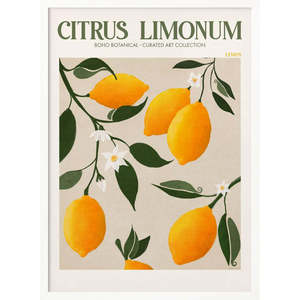 Golden Citrus Delight Patterned <b>Plant</b> Collection - Product Image 4