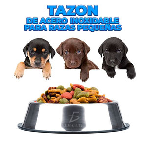 Ciotole in Acciaio Inox per Cani e Gatti, Alzate e Antiscivolo, Ecologiche, Taglia S per Uso Esterno - Product Image 4