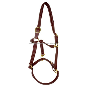 Licol en cuir de cheval rembourré, mode équestre, personnalisable, couleur laiton, logo personnalisé, taille personnalisée - Product Image 5