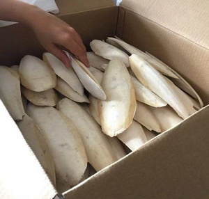 Fruits de mer de seiche de qualité assurée meilleur choix pour la préparation de repas et la restauration à l'échelle industrielle - Product Image 3