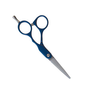 Poignée fantaisie ciseaux de coupe de cheveux ciseaux de Salon de coiffure métal acier professionnel salon de beauté ciseaux - Product Image 3