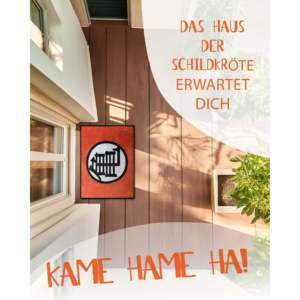 Paillasson Dragon Ball au design de dessin animé Kame - Product Image 3