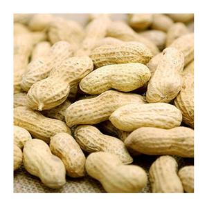 ถั่วลิสงเปลือกแดงออร์แกนิคคุณภาพพรีเมียม บรรจุภัณฑ์แบบขายส่ง ราคาถูก - Product Image 6