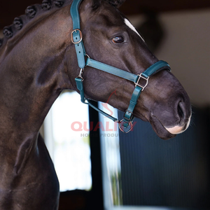 Combinaison de bride et de licou en cuir pleine fleur durable de style anglais pour chevaux conçue pour une utilisation en extérieur avec une taille personnalisable - Product Image 6