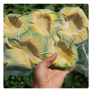 AVOCAT CONGELÉ DE HAUTE QUALITÉ FOURNITURE DU VIETNAM MEILLEUR PRIX - Product Image 2