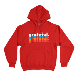 Sweat à capuche Grateful (unisexe) 100% coton French Terry, broderie 3D, impression sérigraphiée avec étiquette personnalisée, 500 g/m² - Product Image 3
