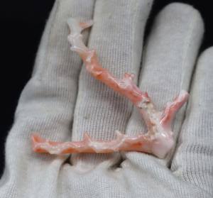 Palo de Coral blanco Natural, piedra preciosa suelta, piel de Ángel, Coral pulido, Colgante de Piedra en bruto, tamaño 65X16MM - Product Image 4