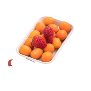 Vente en gros élégant plateau intelligent 2D design rectangle écologique fait bagasse de canne à sucre pour hôtels événements voyage camping - Product Image 2
