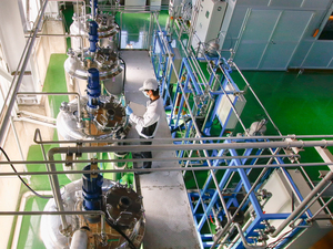 Haute pureté Saluscello cello-oligosaccharide Cellobiose Support avancé Additifs alimentaires en poudre prébiotiques pour la croissance animale - Product Image 3