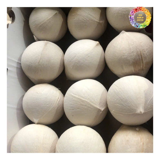 Easy Open Fresh Coconut, Fresh Coconut With Button Opened by Thumb, Innovative and Sustainable Fresh Coconut for Drinks