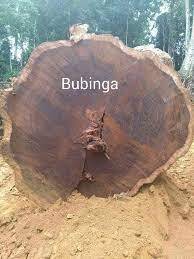 Balau <b>Logs</b> Yellow Balau <b>Logs</b> Red Balau <b>Logs</b> - Product Image 4