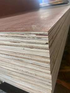 Bintangor/Okume/Superficie de eucalipto Madera contrachapada comercial Núcleo de madera dura Estilo de diseño moderno 1 año de garantía Uso en apartamento Vietnam - Product Image 6