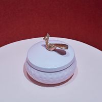 Bocal en métal artisanal avec couvercle pour la décoration de la maison et de la cuisine et le stockage des aliments secs Conteneur de condiments en vrac magnifiquement conçu