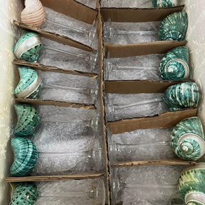 Conchas marinas naturales decorativas de alta calidad, para decoración de conchas marinas Vietnam hechas en resorts y restaurantes, artesanía temática costera de conchas marinas - Product Image 1