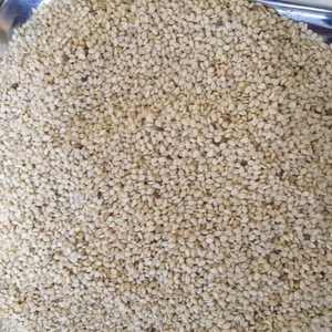 Graines de sésame crues biologiques séchées pour l'usage alimentaire pour le traitement en huile en granulés - Product Image 6
