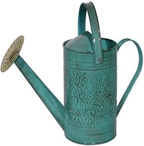 Regaderas ecológicas verdes sostenibles para sus plantas Nature Hue Hermosas regaderas verdes para cada jardinero - Product Image 1
