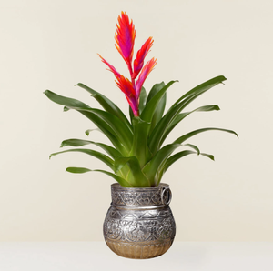 Plantador elegante al por mayor más vendido en India a bajo precio macetas redondas bonitas de metal plateado para jardín interior y exterior - Product Image 4