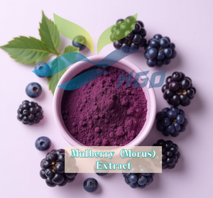 HGO Factory Fourniture directe d'extrait de mûrier (Morus) naturel pur (qualité alimentaire santé) Spécification 10:1 (extrait de rapport) - Product Image 2