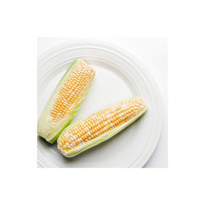 Maïs sec glutineux (maïs jaune) de qualité supérieure du Brésil pour l'alimentation animale à un prix excellent - Product Image 1