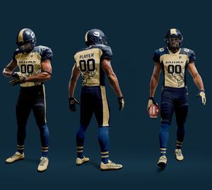 Uniformes de football américain pour jeunes Kit de vêtements de jeu 2 pièces en sergé sublimé avec ensembles de maillots avec logo de l'équipe - Product Image 1