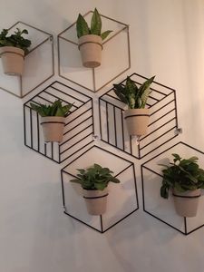 Support mural en métal écologique soutenant des pratiques de jardinage durables pour les plantes d'intérieur et d'extérieur - Product Image 2