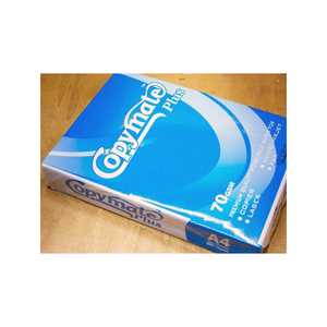 Papel A4 Legal de 80g, Libre de Ácido y Seguro para Archivo, Marca Personalizada - Product Image 1